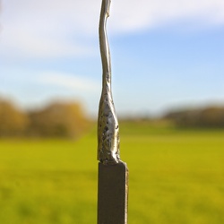 Que la joie soit dans les cœurs !